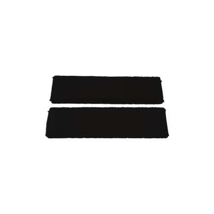 Alapure Regenereerbaar Koolstoffilter Atag HF2006 (2St.)