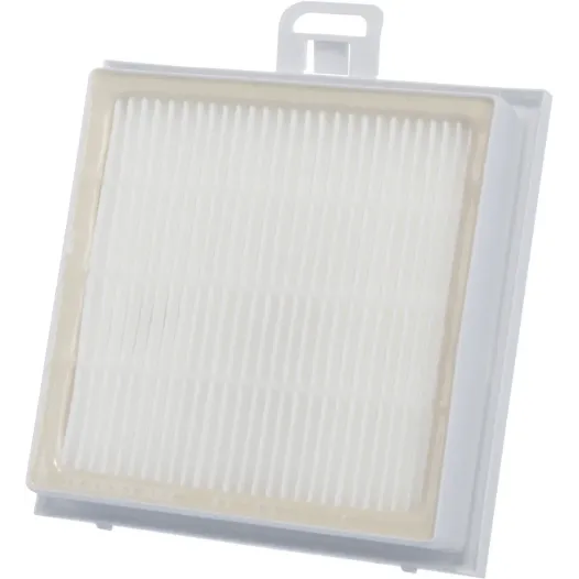 Bosch Krachtig hygiënefilter HEPA 00578732