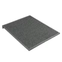 Electrolux Koolstoffilter Luchtreiniger Well A5 / Well A7