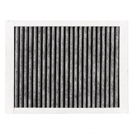 Alapure HFK3001 Geur En Fijnstoffilter geschikt voor HF3001