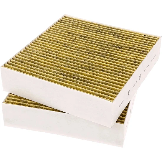 Alapure Koolstoffilter geschikt voor Gaggenau 11058753 / 11028106 / AA410110 (2St.)