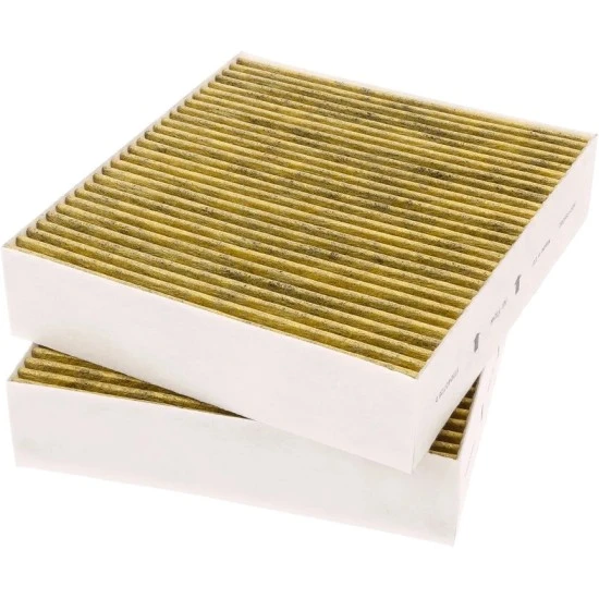 Gaggenau Koolstoffilter 11058753 / 11028106 / AA410110 (2St.)