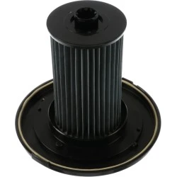 Bosch Cartridgefilter stofzuiger 12027830