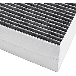Alapure HFK314 CleanAir Koolstoffilter geschikt voor 00741638 / 00678460 / 11017314