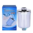 Icepure SF001-H Douche Filter / Koreaanse Douche Filter