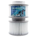 Alapure spafilter geschikt voor MSpa 2-pack | 2010-2019