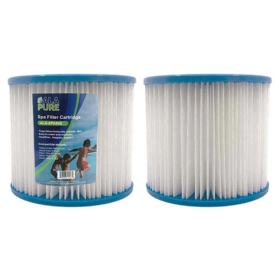 Alapure Spa Waterfilter geschikt voor Intex Type D Alapure Spa Waterfilter geschikt voor Intex Type D