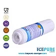 Icepure Waterfilter geschikt voor Bosch 12004484 / BORPLFTR20 / 00491746 Icepure Waterfilter geschikt voor Bosch 12004484 / BORPLFTR20 / 00491746