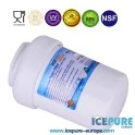 Icepure Waterfilter geschikt voor Ariston C00094394