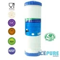 Alapure 20inch Big Blue GAC Koolstof Waterfilter ALA-GAC20BB