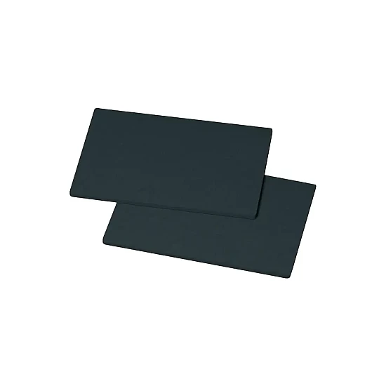 Alapure Longlife Koolstoffilter geschikt voor Siemens  11015163 / LZ57P20 (2St.)
