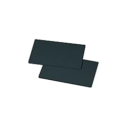 Alapure longlife Koolstoffilter geschikt voor Neff 11015166 / Z54CP00X0 (2St.)