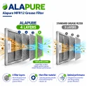 Alapure Metaalfilter geschikt voor AEG 50248271004 300x254x8mm
