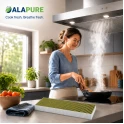 Alapure HFK4172 CleanAir Plus Koolstoffilter geschikt voor 11034172 / 17004082 / DWZ1IX1B6 / AA210110