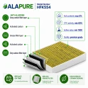 Alapure Koolstoffilter geschikt voor Gaggenau 11058753 / 11028106 / AA410110 (2St.)