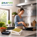 Alapure Koolstoffilter geschikt voor Gaggenau 11058753 / 11028106 / AA410110 (2St.)