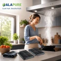 Alapure Koolstoffilter geschikt voor Faber MCFE05 / EFF70 / 9029793552 / 112.0441.093