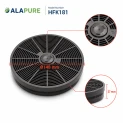 Alapure Koolstoffilter geschikt voor Proline CHP60W (2St.)