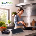 Alapure Koolstoffilter geschikt voor Sauter 74X5226
