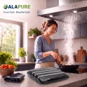 Alapure Koolstoffilter geschikt voor Sauter 71X0704 (2St.)