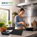 Alapure Koolstoffilter geschikt voor Zanussi MCFB58ST / 9029865848 / MCFB58