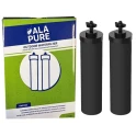 Alapure OWF004 Waterfilter Elementen geschikt voor Black Berkey