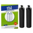 Alapure Filter 3-1 geschikt voor Berkey Fluoride filter (2 stuks)