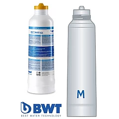BWT Bestmax M Wisselpatroon FS24I00A00