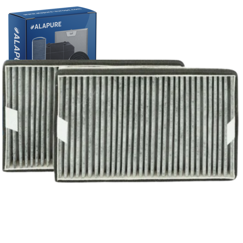 Alapure HFK3975 Compatibel met Miele Koolstoffilter DKF19-P / FWKM-1423 (2 St.)