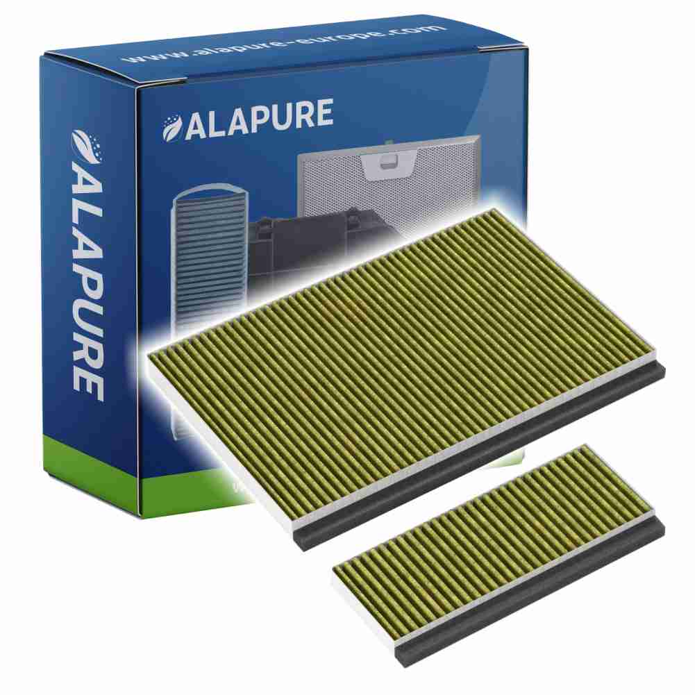Koolstoffilter voor Constructa 11042136 / 17005802 / CZ51AIA0X0 (set)